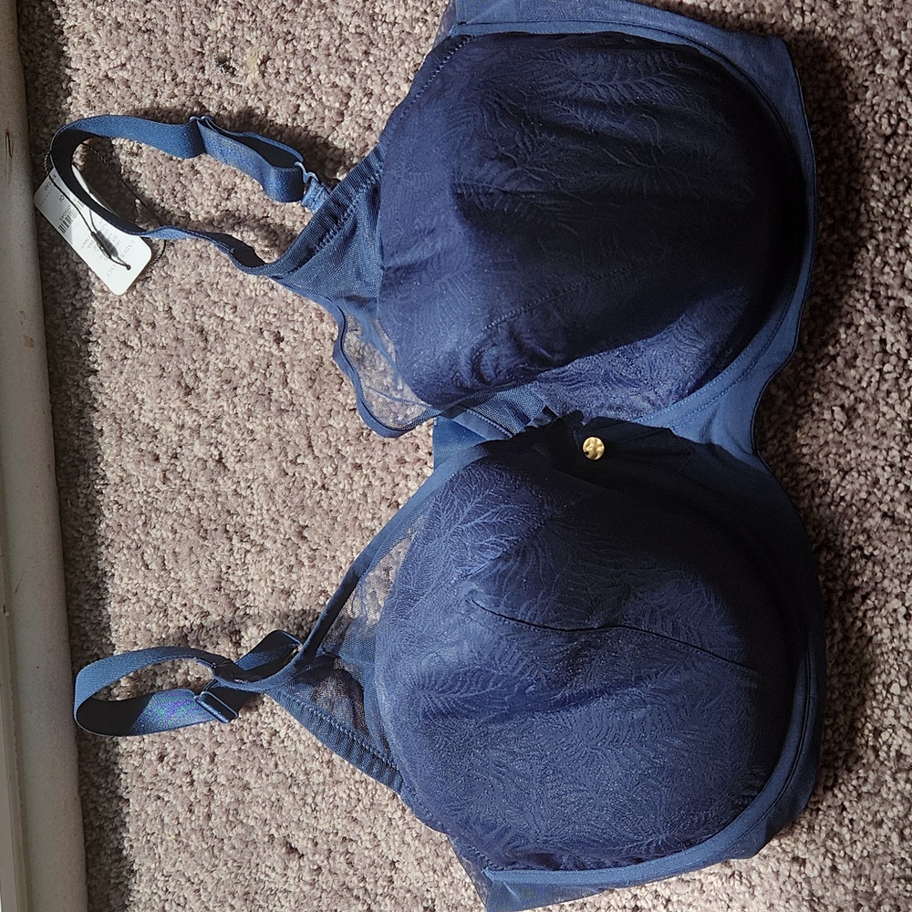 Blue Bra 40I